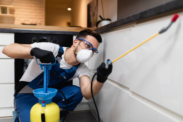 Best Pest Removal Services  in Shallotte, NC