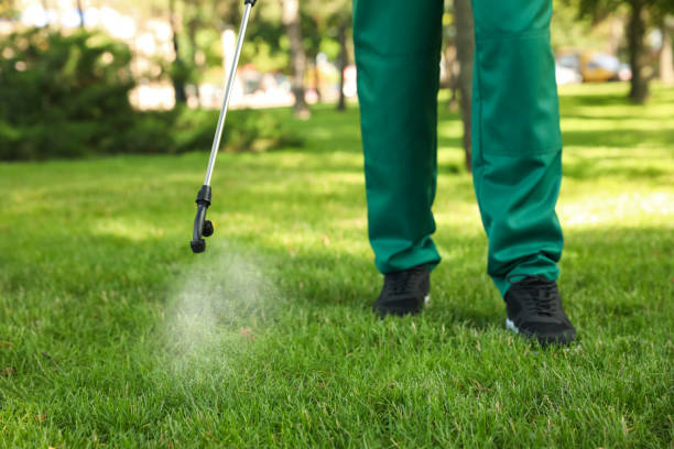 Best Best Pest Control Companies  in Shallotte, NC