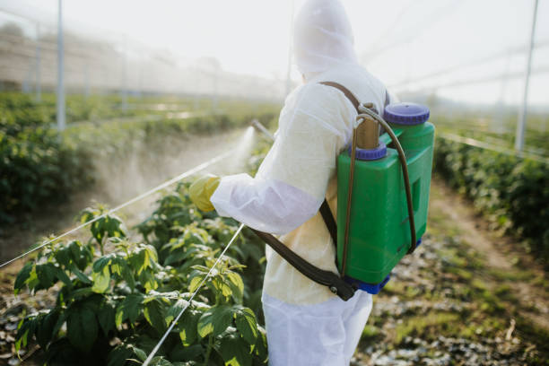 Best Mosquito Control Services  in Shallotte, NC